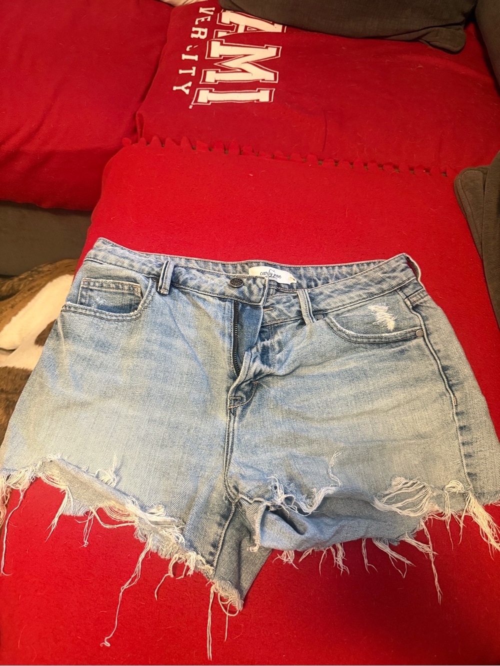Carly Jean Los Angeles Light Blue Distressed Denim Cutoff Shorts